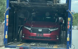 Honda Odyssey 2022 lần đầu lộ diện tại Việt Nam - Đối trọng của Kia Carnival từng rút khỏi thị trường vì ế ẩm