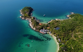 Cặp đôi Pháp - Việt biến đảo hoang thành ‘nơi nghiêm ngặt’: Xem cá voi gần bờ, Forbes và CNN đều ca ngợi
