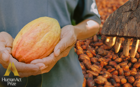 Từ cây cacao đến socola chỉ trong 60 ngày - Hành trình kỳ diệu của dòng socola trung hòa carbon tại Việt Nam