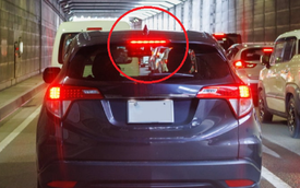 Vì sao ô tô phải có đèn báo phanh trung tâm?