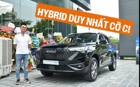 Haval H6 giá 1,096 tỷ tại Việt Nam, quyết đấu xe Nhật, Hàn bằng động cơ hybrid và 20 công nghệ an toàn thông minh