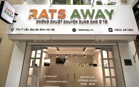 Rats Away - Sản phẩm chống chuột chuyên dụng của Việt Nam cho ô tô đã thử nghiệm trên 100 xe với hiệu quả tới 96%