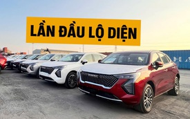 Lô Haval Jolion đầu tiên cập cảng Việt Nam: 2 phiên bản phân biệt được từ ngoại hình, có điểm khác bản Thái, dễ ra mắt tháng này đấu Corolla Cross