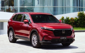 Trong bạt ngàn SUV, MPV trên thị trường, đây là những mẫu lọt đề cử xe phổ thông tiểu biểu cho gia đình tại BCA 2024