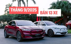 Ford Mustang Mach-E bất ngờ bán chạy hơn cả 'dân chơi' Honda Civic Type R: 'Ngựa hoang điện' đã tìm được chuồng ở Việt Nam?