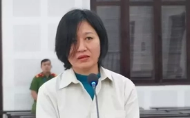 Đấu giá 9 ô tô khách của nữ đại gia trốn thuế hàng chục tỷ đồng ở Đà Nẵng