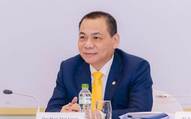 Tỷ phú Phạm Nhật Vượng đầu tư vào Congo, quốc gia sở hữu "kho báu" quý giá nhất của ngành xe điện