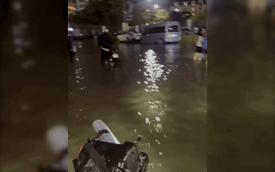 Nước ngập sâu "không xe nào sống", chiếc Honda Dream này vẫn bon bon lội: Bí mật nằm ở chiếc ống ruột gà