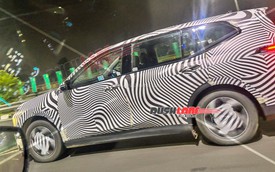 VinFast Limo Green xuất hiện tại Ấn Độ: Lắp ráp tại chỗ, có thể ra mắt năm sau