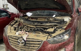 Bảo hiểm chi trả hàng trăm tỉ đồng tiền bồi thường thiệt hại do bão, lũ