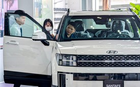 Tiêu thụ ô tô tại Việt Nam đạt đỉnh mới trong năm 2025