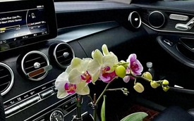Người đàn ông làm 1 việc trong xe ô tô được dân tình khen ngợi: Kinh tế - tinh tế - thực tế!