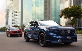 Nhu cầu xe điện hóa của người Việt tăng mạnh