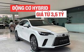 Lexus RX 350h về đại lý: Giá từ 3,5 tỷ đồng, động cơ hybrid mạnh 247 mã lực, thêm camera 360