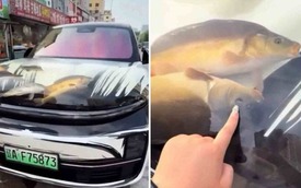 Đại gia Trung Quốc biến mui xe sang thành bể cá di động, gây phẫn nộ và bị cảnh sát 'sờ gáy'!