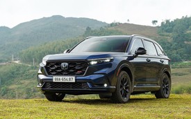 Honda CR-V ‘đè bẹp’ Sealion 6, Camry, Corolla Cross và Civic, nhưng chưa chắc thắng giải ‘Xe hybrid của năm’