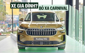 Chỉ còn 10 ngày trước Gala CCA 25: Đây là những cái tên thắng vote nhưng liệu có được lòng giới chuyên môn?