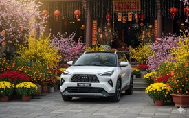 Phí trước bạ ô tô tăng bất thường ở Đà Nẵng, cơ quan thuế nói do sơ suất