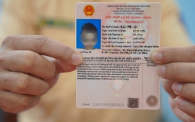 Thông tin về giấy phép lái xe màu hồng mới, người dân ai cũng cần biết