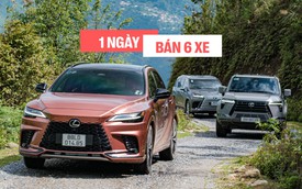 Mỗi ngày người Việt chốt 6 chiếc Lexus trong năm qua, đẩy doanh số hãng tại Việt Nam lần đầu vượt mốc 15.000