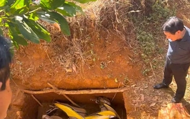 Phát hiện xe máy nghi liên quan vụ cướp ngân hàng ở Gia Lai được chôn dưới hố đất