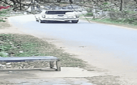 Con lợn lao ra khỏi xe bán tải, người phụ nữ chạy đuổi theo tài xế: Cái kết sau 2 tiếng