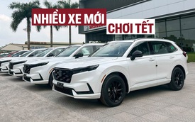 Nhiều xe mới dễ đổ bộ Việt Nam trước Tết: Đa dạng sedan, MPV, SUV, bán tải, có cả lắp và nhập, chủ yếu trên dưới 1 tỷ đồng