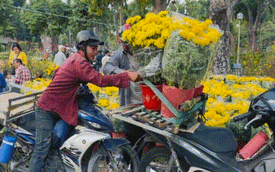 Shipper tất bật chở hoa những ngày cận Tết