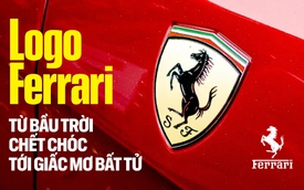 Con ngựa sinh ra từ khói lửa: Câu chuyện logo Ferrari, từ chiến tranh đến biểu tượng bất tử