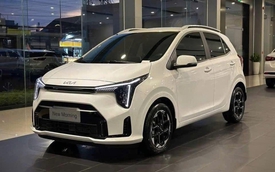 Xe điện áp đảo tầm giá dưới 500 triệu, xe xăng hạng A khủng hoảng