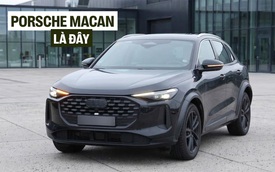 Trông rất Audi Q5 nhưng thực chất là Porsche Macan đời mới: Chung nền tảng, máy xăng, có thể thêm cả hybrid
