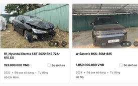 Ngân hàng thu giữ loạt xe ô tô điện của Mai Linh Lào Cai