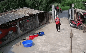 Shipper đến giao hàng bỗng dắt xe máy của khách đi: Đoạn camera an ninh 24 giây được tung lên mạng