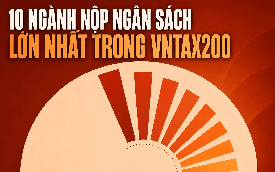 Đằng sau con số gần 1 triệu tỷ đồng được nộp vào ngân sách nhà nước năm 2025