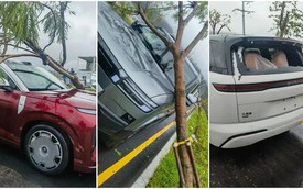 Nhà máy 23win nhà cái cá cược uy tín nhất châu á dính bão, xe hỏng được sửa rồi bán giá rẻ