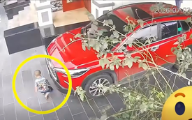 Clip khiến các bậc cha mẹ thót tim: Bé trai bò dưới gầm ô tô khi người lớn chuẩn bị khởi động máy