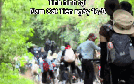 Cảnh tượng kẹt xe tại rừng Nam Cát Tiên, tưởng đâu ngã tư Hàng Xanh giờ cao điểm