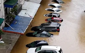 Sắp đấu giá lô xe ô tô bị ngập nước qua nóc, giá từ 2,02 tỷ đồng