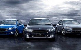 Ford bất ngờ giới thiệu Falcon với 6 bản sedan, 5 bản bán tải