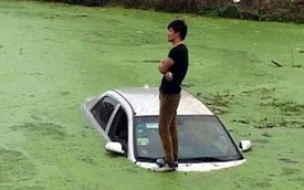 Nam thanh niên bình tĩnh đứng tạo dáng trên ôtô chìm trong ao bèo