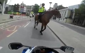 Cảnh sát cưỡi ngựa, chặn biker "bốc đầu" Suzuki GSX-R1000