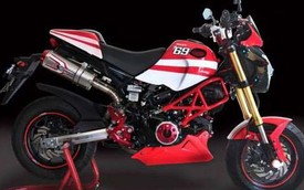 Gã tí hon Honda MSX125 "lột xác" thành quái vật Ducati Monster