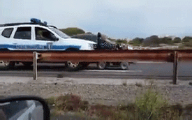 Xe cảnh sát đẩy xe lăn trên đường cao tốc