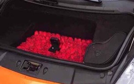 Chở gấu bông và hoa trên Lamborghini Gallardo để cầu hôn bạn gái