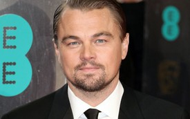 Leonardo DiCaprio muốn sản xuất phim về bê bối khí thải của Volkswagen