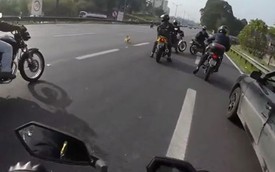 Nhóm biker dàn hàng ngang trên cao tốc để cứu chú chó lạc