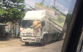 Nóng trong ngày: CSGT bám trên đầu xe tải tại Hà Tĩnh