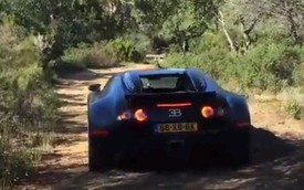 "Chịu chơi" đem siêu xe triệu đô Bugatti Veyron đi vượt rừng