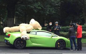 Chở gấu bông trên nóc xe, Lamborghini Gallardo bị phạt