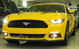 Ford Mustang 2015 - Cơn sốt mới trong giới chơi xe Việt Nam